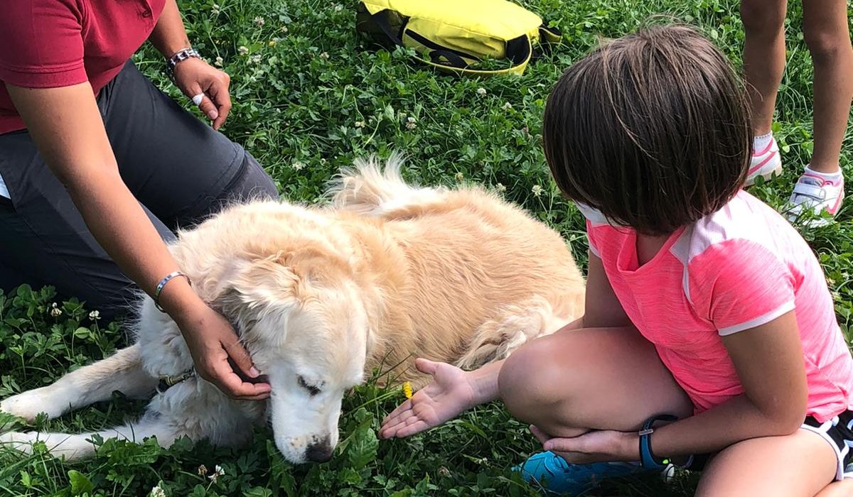 WhatsApp Image 2021-04-05 at 13.08.19